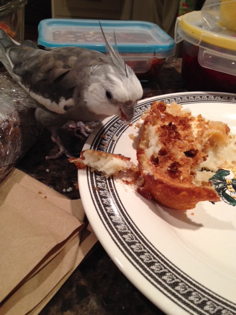 Uh oh. I can see my flockmates approaching. They look hungry. 