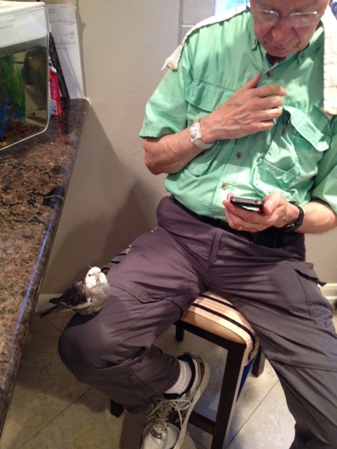 Don't worry, Grandpa - the power of "cuteness" never fails!