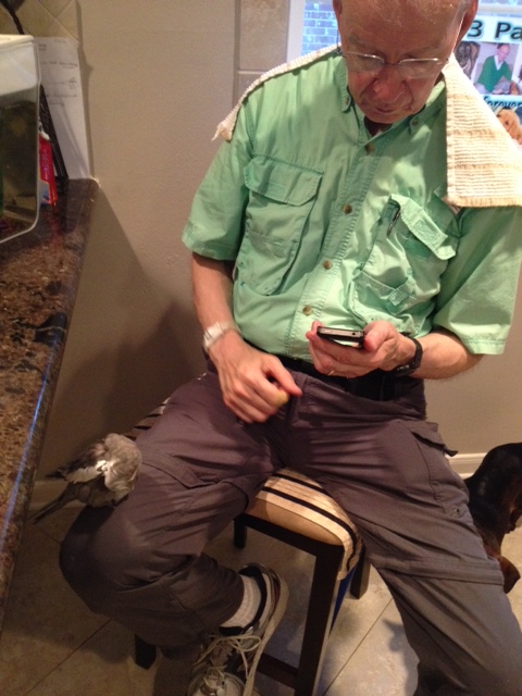 I'll just preen my feathers a bit - the dander from my preening should jolt Grandpa's device right back into shape again.