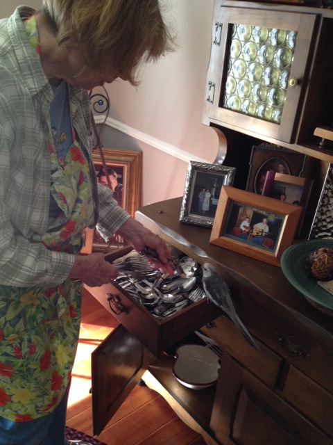 Well, I like the round ones best, but if you want to use some of the straight ones too, I guess that's okay.