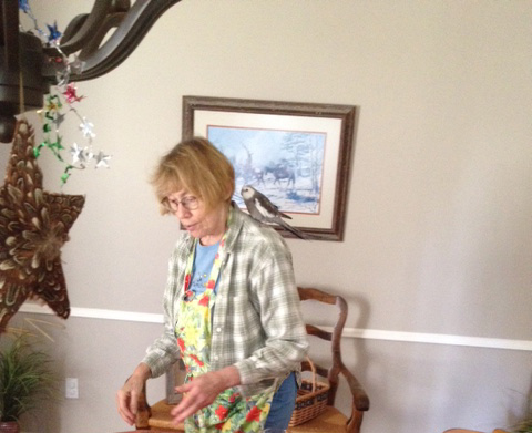 These are great decorations, I agree - stars signifying "famous and feathery" is a perfect choice!