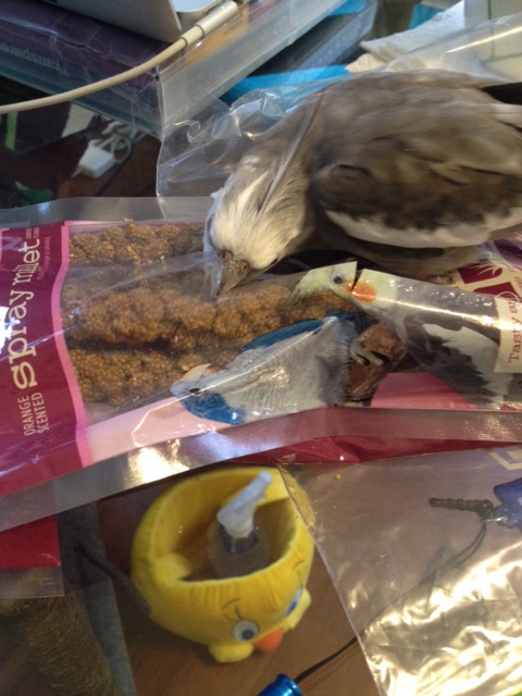 You can then commence to snacking until you are full (and have your large featherless assistant wrap up the rest for later).