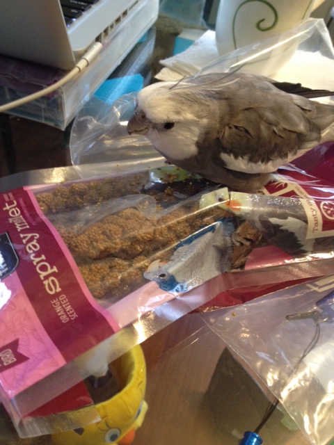 Here, the first thing you want to do is just sit on top of the herd. 