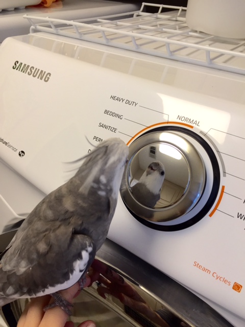 Finally, give them a moment to admire your prettiness (it is just the polite thing to do).