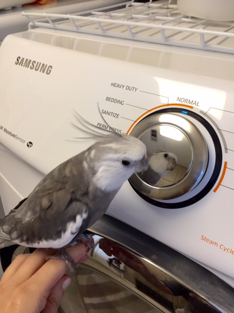 Make friendly, direct eye contact with the new being.