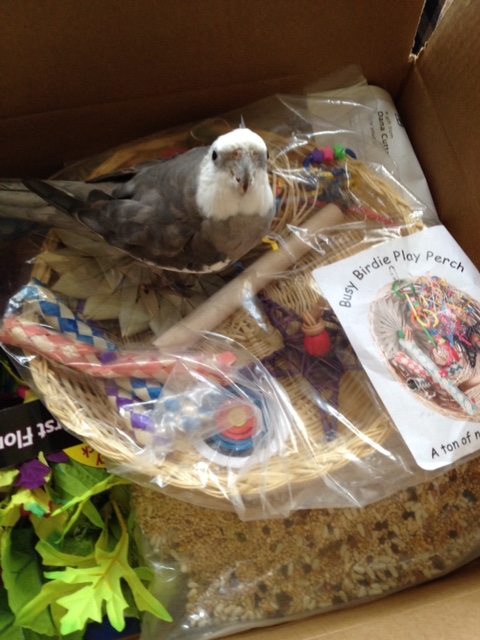 What do you mean, "Unwrap and install the gifts?" 