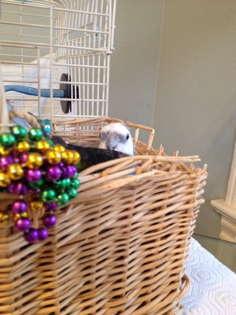 Okay, Mom, I've got everything in place - are you ready?