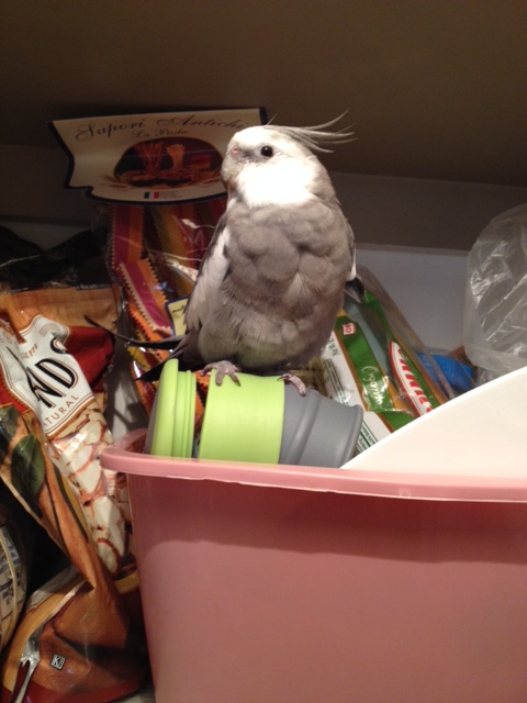 In no time at all, fans will begin to gather.