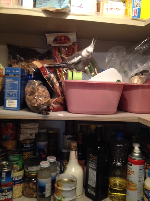 Let's say you decide you want to visit Grandma's pantry.