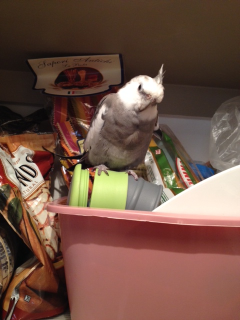 In addition to oohing and aahing, they may want to take your photograph so they can look at it later for inspiration.