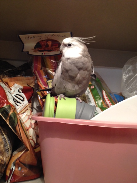 The longer you sit with your fans, the more inspired they will become (and the cuter they will look).