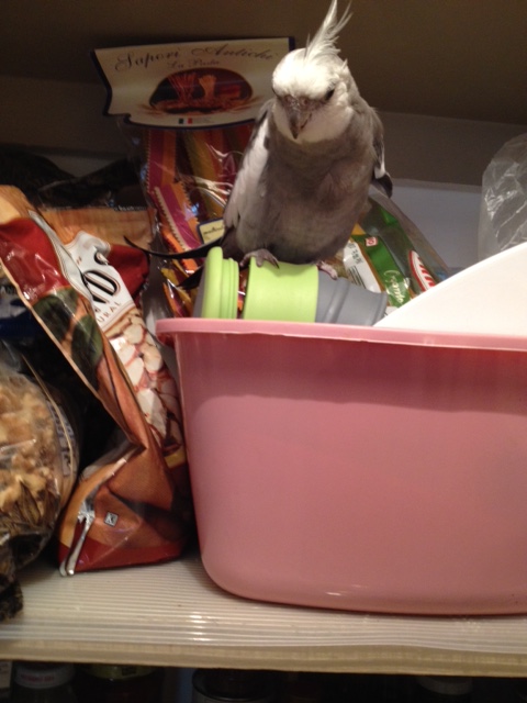 Journalists may ask a few questions so they can share your thoughts with the masses (for more inspiration).