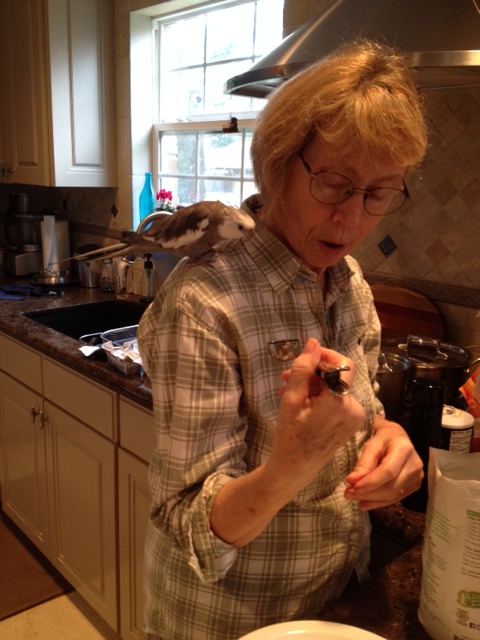 Seeds? Well, I like seeds. Still, I'd better try them first. 