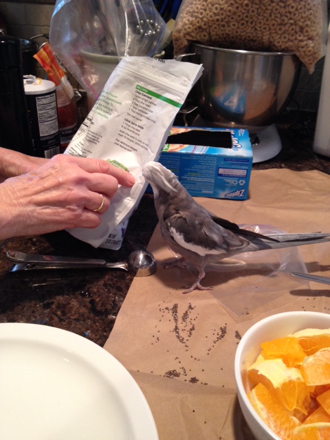 Although the package is nice and crispy - it might make a good appetizer.