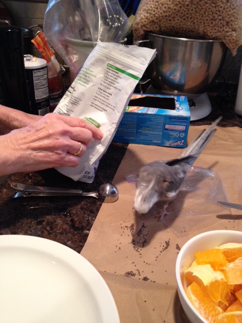 I'll be honest, Grandma - my palate is saying "no" on this one. 