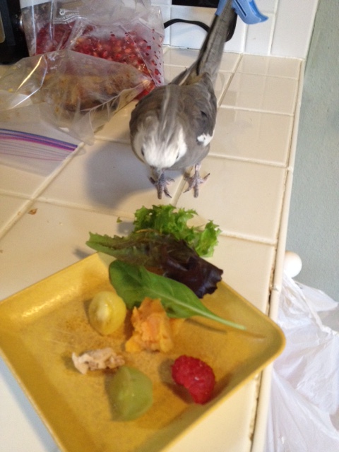 These greens sure do look tender and tasty!