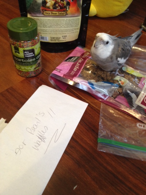 This is all for me? (Oh, wait, what am I saying - of course it is all for me!)