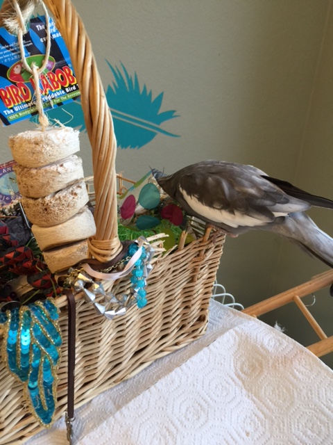 Yup. There is a whole lot of prettiness in here that isn't being shared.