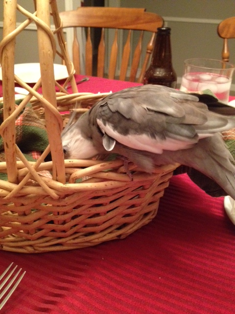 Hmmm.....what do I want first?