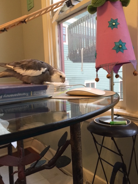 Well, well. What have we here? A green string? Perfect!