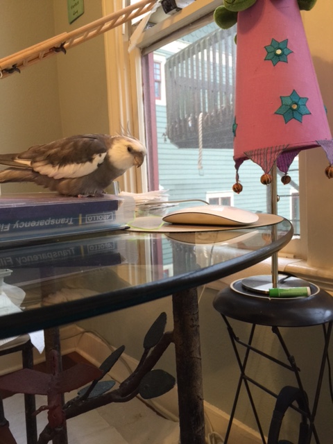 What do you mean, you're tired and don't want to practice anymore?