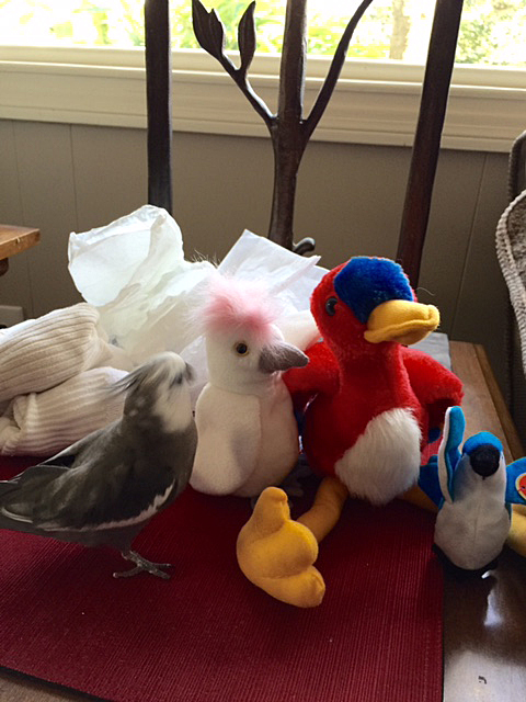 Wow - this one looks a lot like me! I'd lose the pink though....grey works much better.