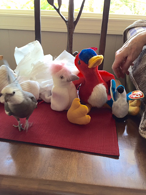 I never thought I'd say this, but I'd almost rather be featherless than flock with that hoity-toity crowd.