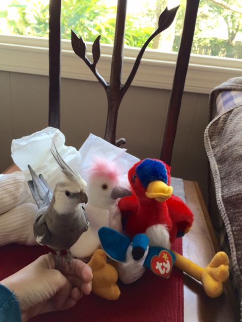 Oh boy. She got more. Here we go again.