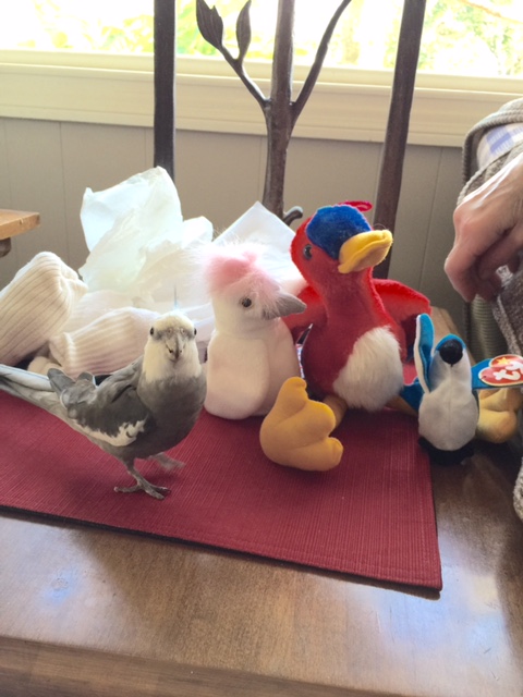 Okay, just one more picture.