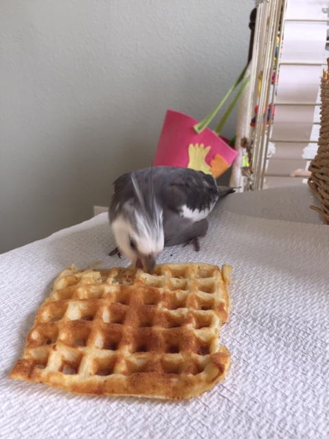 Now for a "stance testing" bite....