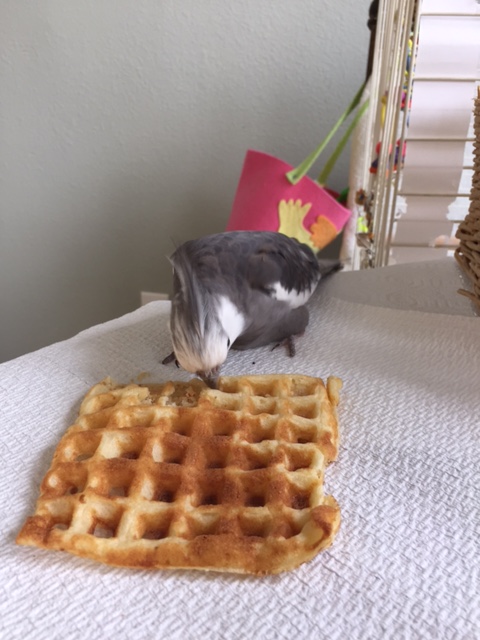 Maybe just one more (for extra testing purposes)....