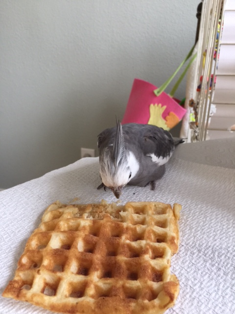 Now I will adjust my stance for "full consumption" mode.