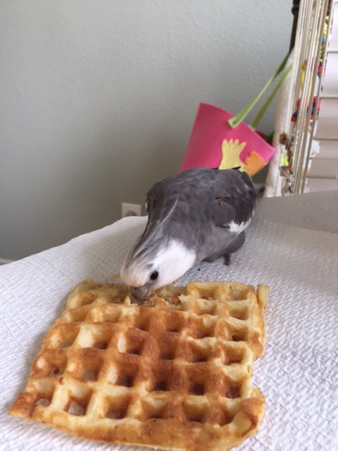 Don't think I don't see you over there trying to steal my secrets, Mom.