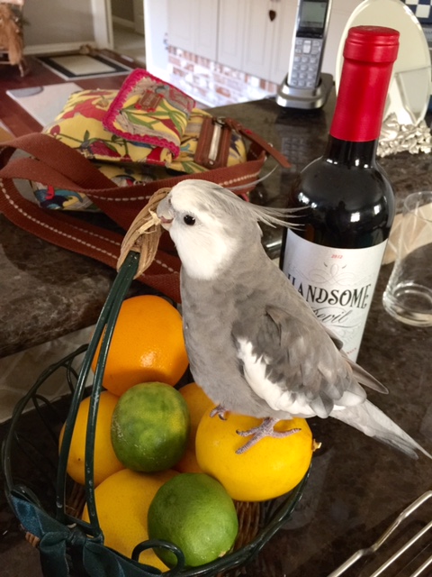 I'll just do a little rearranging here....