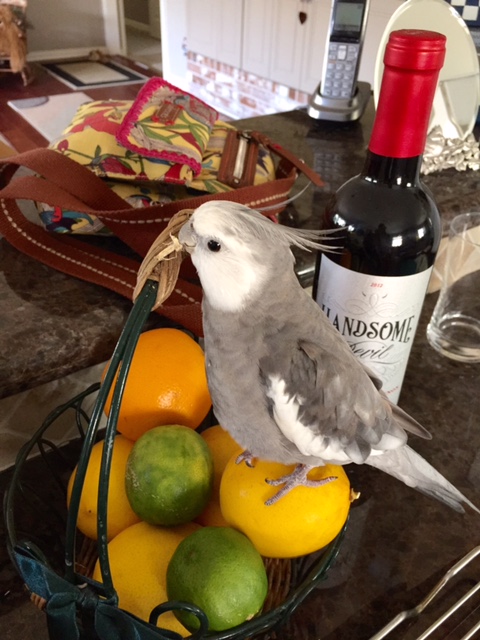 Add a bit more visual interest over here....