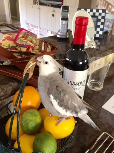 This section needs a bit more of a major overhaul.