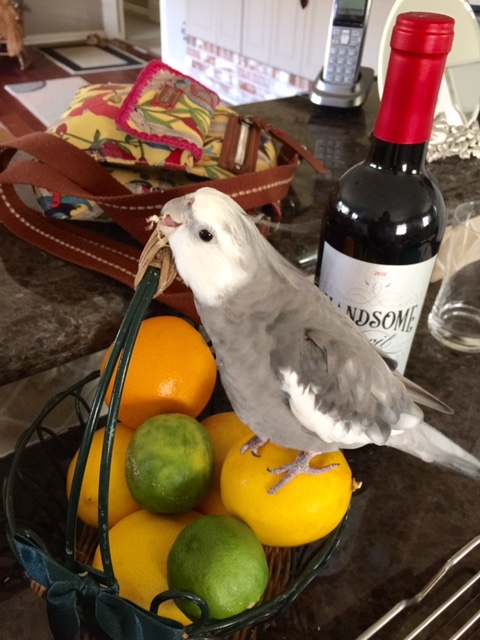 Yup - I do believe we are getting there.