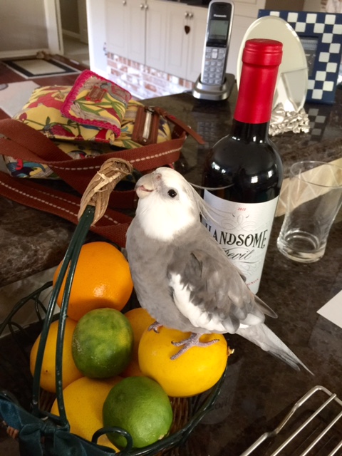 Well, this is kind of a disaster, I agree. 