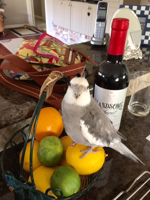 Voila! One complete wicker makeover, as ordered!