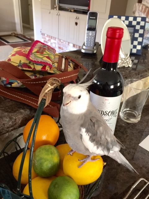 Which being wants a makeover? The wicker one I'm standing next to? Okay, I'm on it!