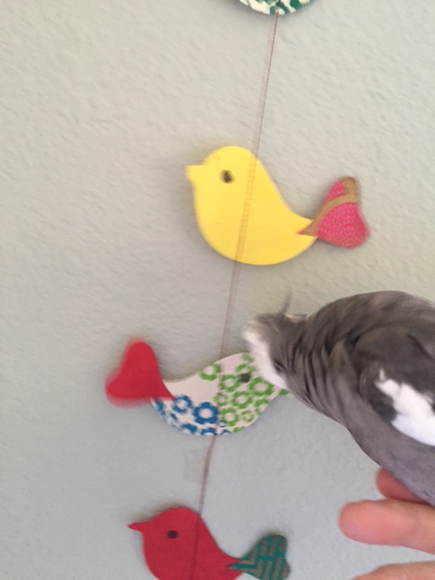 Yes, you. Get back to your mark. We've got a modeling shoot to finish!