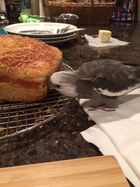 So far, both overall cheesiness and flingability scores are very high!