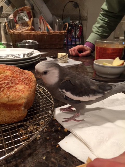 I can already tell I'm going to love it!