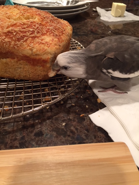 The scores are very high in this area too!