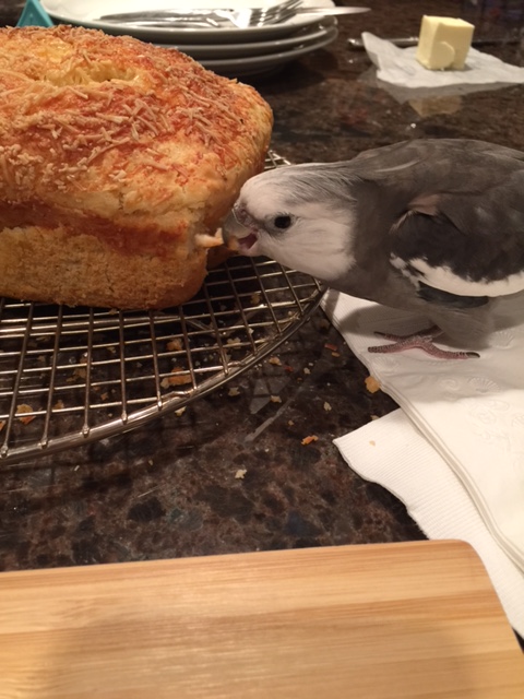 Mom! No photos while I'm working! 