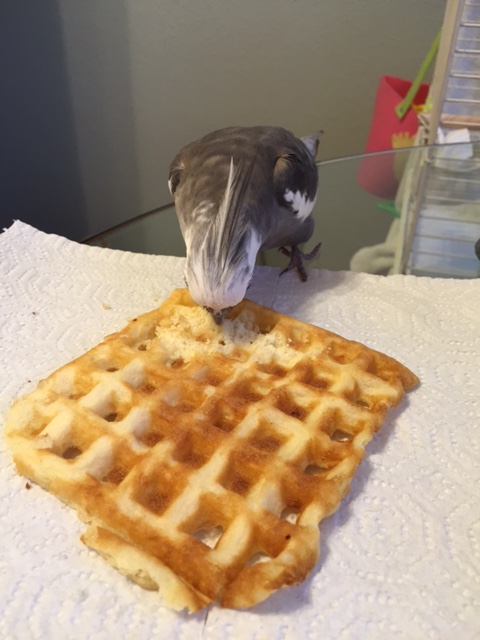 Now where was I....?