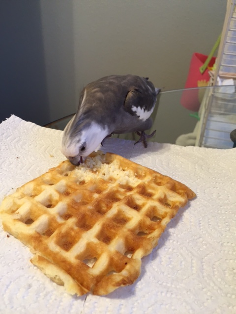 Scrumptiously unique.