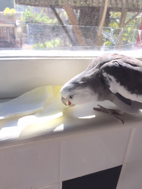 Speaking of which.....