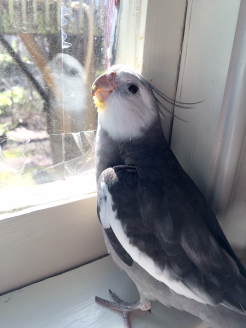 Hey Mom, by chance did you ask Endive if he had any friends or relatives he wanted to refer to us?