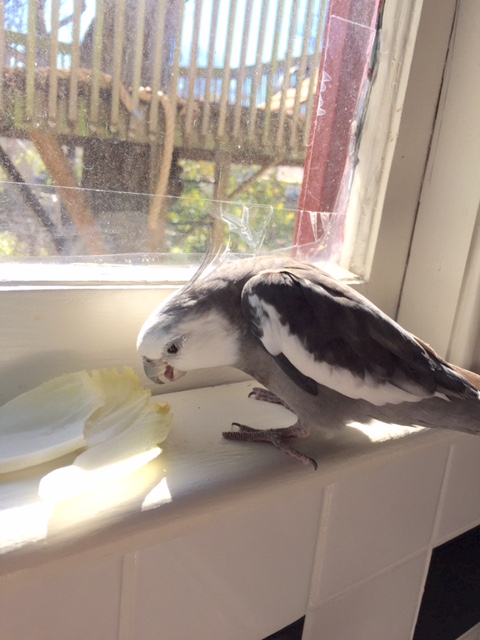 Well, that makes sense - I do have the most sensitive gourmet palate so I am most likely to enjoy you.